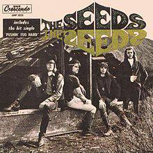 The Seeds : The Seeds
